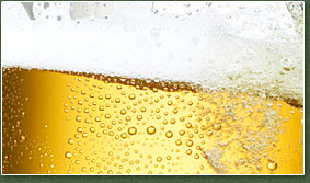 Bier